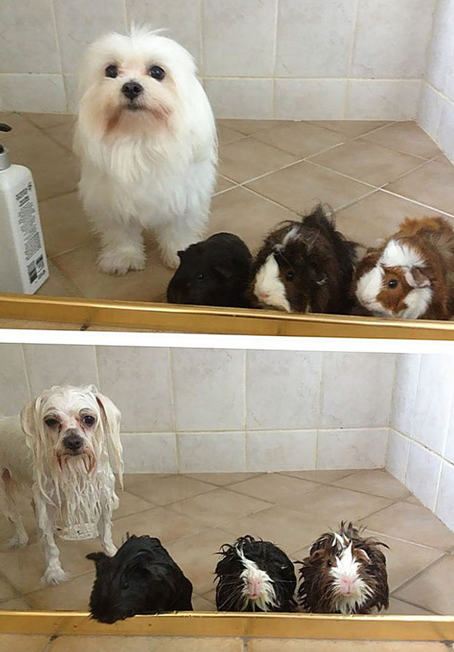 Before and after shower 