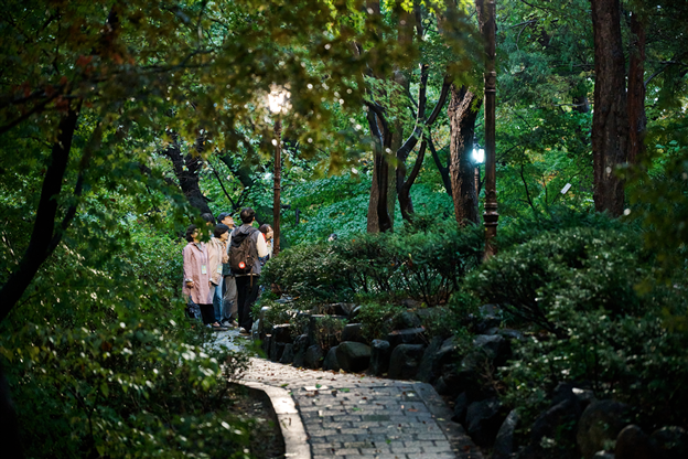 산림치유 체험 참여 이미지