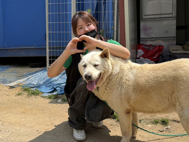 녹십자수의약품 직원이 핫도그(HeartDog) 챌린지 사진을 찍고 있다