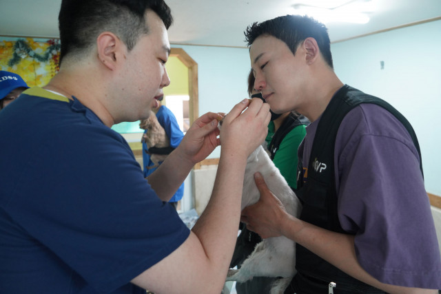 로얄메디컬센터 강동 박의현 부원장이 심장사상충예방약 ‘크레델리오 플러스’를 먹이고 있다