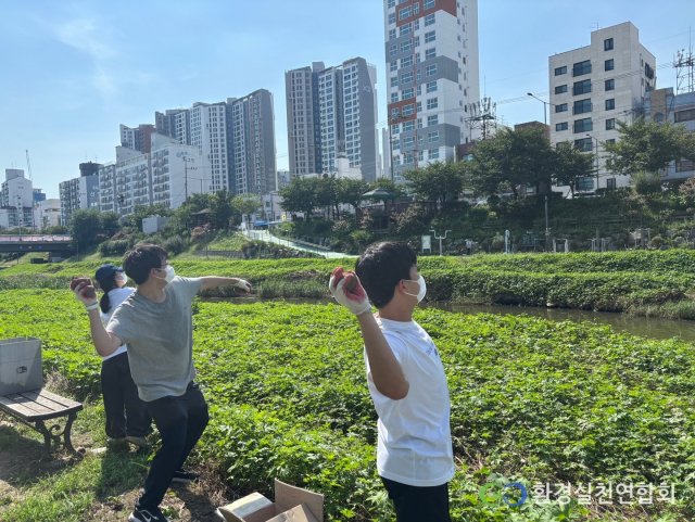 환경실천연합회 EM흙공 던지기 활동 모습
