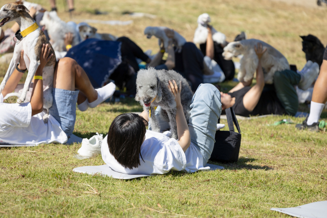 2024년 ‘반려견과 함께하는 선명상 축제’ 현장 스케치