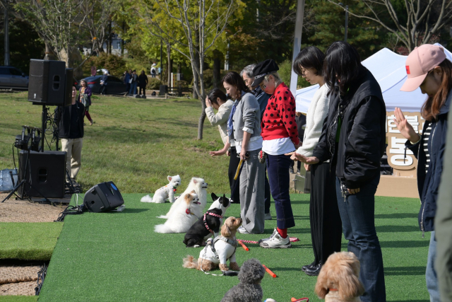 반려견과 함께하는 선명상 축제 – 반려동물 운동회·레크리에이션