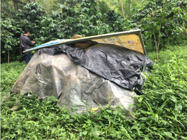 커피 체리의 과육과 껍질이 비닐로 덮인 채 농장에 버려져 있다