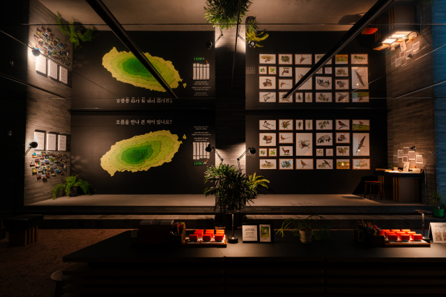 ‘제주의 미래를 키운 10년’ 이니스프리 모음재단이 올해로 설립 10주년을 맞았다. 재단은 창업주 고(故) 서성환 선대 회장의 ‘제주의 돌 하나, 나무 한 그루도 원형 그대로 보전해야 한다’는 철학을 바탕으로 제주의 자연과 사람을 지키는 공익 활동을 꾸준히 이어왔다. 제주의 자연유산을 기록하고 알리는 ‘어승생오름, 자연을 걷다’ 프로젝트는 2021년 오름 연구 지원을 시작으로 2023년 도서 출간, 2024년 제주·부산 전시로 이어졌다. 과학적 연구 결과를 시각예술·체험 콘텐츠로 확장해 제주 자연유산의 보전, 교육, 문화적 가치를 동시에 강화했다는 평가를 받았다