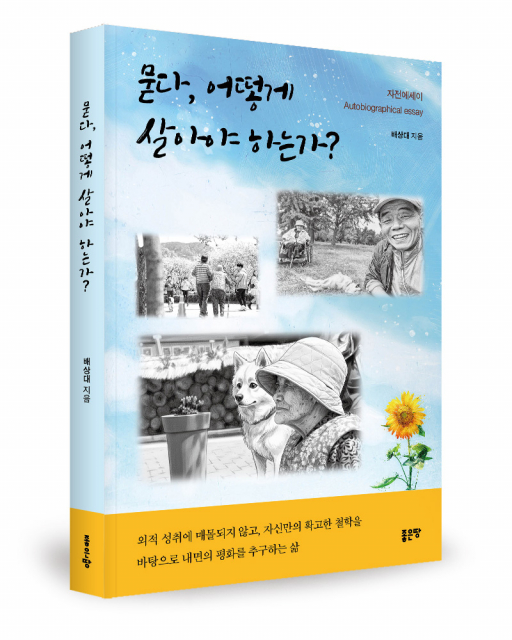 배상대 지음, 좋은땅출판사, 240쪽, 1만6800원