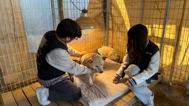데피니트 투약을 마친 뒤 보호견의 상태를 살피며 안정을 돕고 있다. 왼쪽부터 청주 수동물병원 전귀호 원장, 차율하 학생