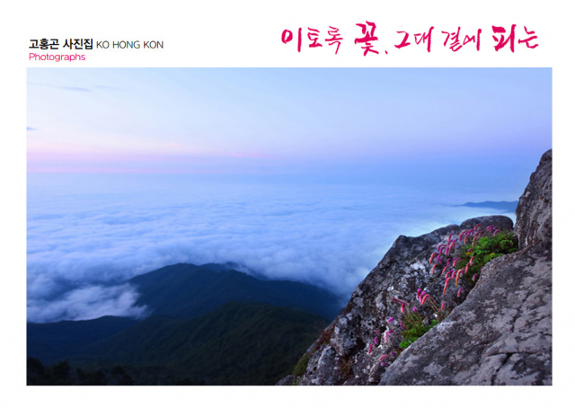 개인전과 함께 132페이지로 출판된 사진시집은 ‘혼돈-위로-극복-소생’의 4단계 서사 구조로 구성됐다. 삶의 어두운 시간 속에서 흔들리는 존재를 ‘혼돈’으로, 자연이 건네는 빛과 시선을 ‘위로’로 담았다. 이어 다시 일어서는 생명의 힘을 ‘극복’의 이미지로 보여주고, 끝내 꽃을 피워내는 순간을 ‘소생’으로 완성했다