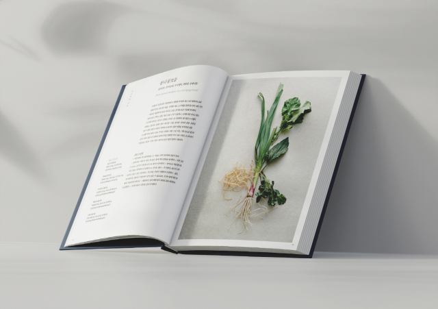 ‘한국의집 조리서 | 조응(照應), 계절이 청하고 한식이 답하다’ 내지