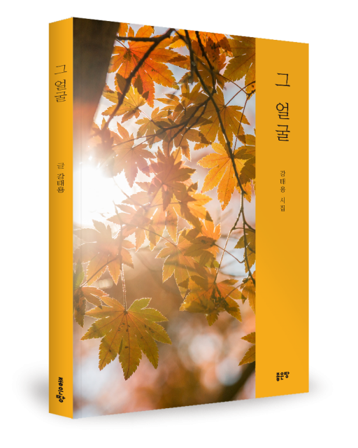 강태용 지음, 좋은땅출판사, 140쪽, 1만2000원