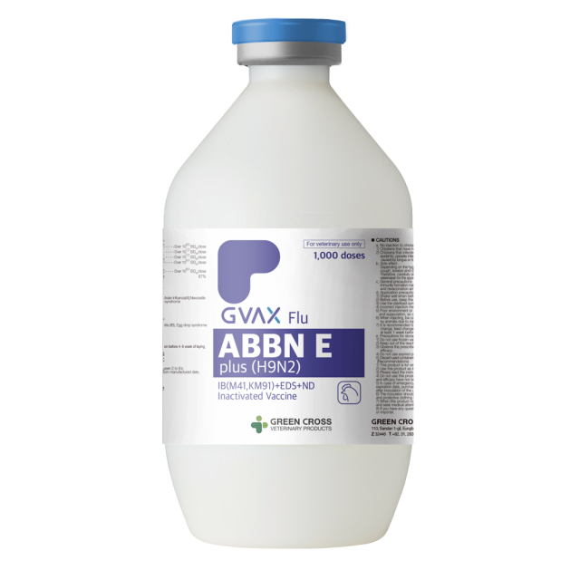 녹십자수의약품이 가금용 백신 ‘지백스 닭 ABBNE 플러스’를 방글라데시에 수출한다