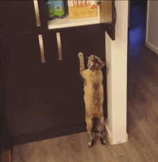 Almost got it