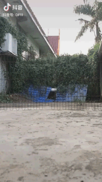 멋지게 날아올라