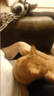 Jealousy